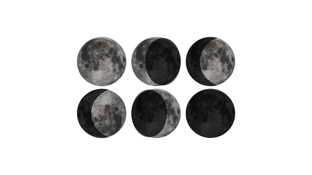 Which Moon Phase Are You?