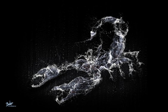 water_scorpion_by_b_o_k_e-d60mwq4